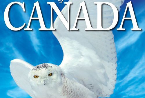 BoC_cover.jpg