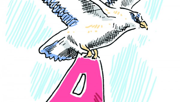 FEATURES_bird_with_letter_A_colour.jpg