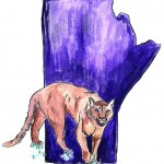 Lauren_Mcphaden_SCIENCE_cougar_colour2.jpg