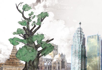 s_ardenhill_COMMENT_oldtree_online