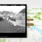 A&C_Feb29th_Bear71