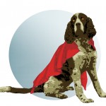 kara passey_FEATURES_superdog_colouronline