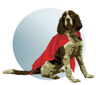 kara passey_FEATURES_superdog_colouronline
