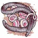 andre boulet_SCIENCE_amphibian_colour