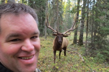 Ryan Brook & elk "photobomb"