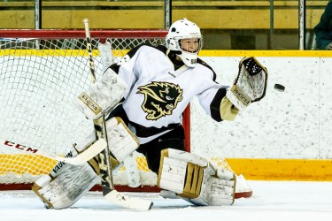 Hockey2_RGB_Photo by Shawn Coates